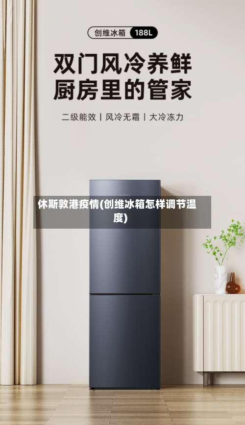 休斯敦港疫情(创维冰箱怎样调节温度)