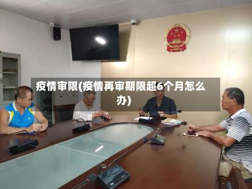 疫情审限(疫情再审期限超6个月怎么办)
