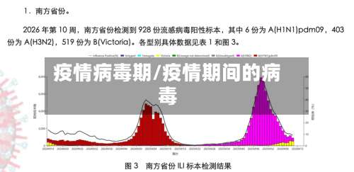 疫情病毒期/疫情期间的病毒-第3张图片
