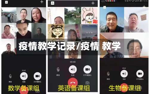 疫情教学记录/疫情 教学