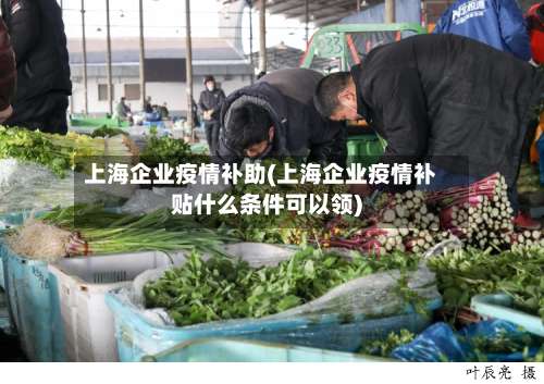 上海企业疫情补助(上海企业疫情补贴什么条件可以领)-第3张图片