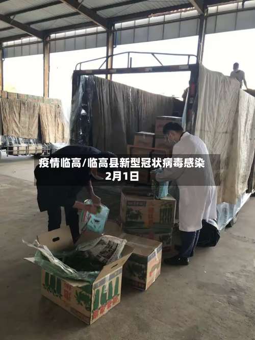 疫情临高/临高县新型冠状病毒感染2月1日-第2张图片