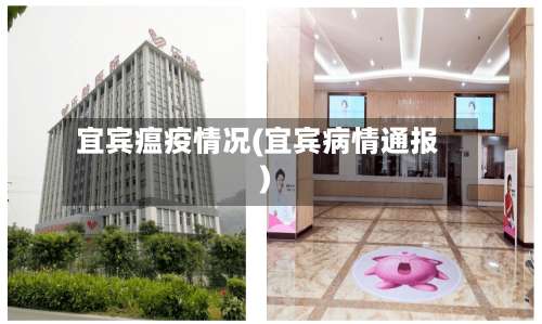 宜宾瘟疫情况(宜宾病情通报)-第2张图片