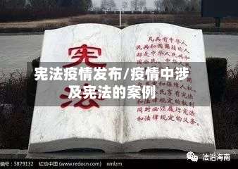 宪法疫情发布/疫情中涉及宪法的案例-第2张图片