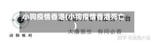 小狗疫情香港(小狗疫情香港死亡)-第3张图片