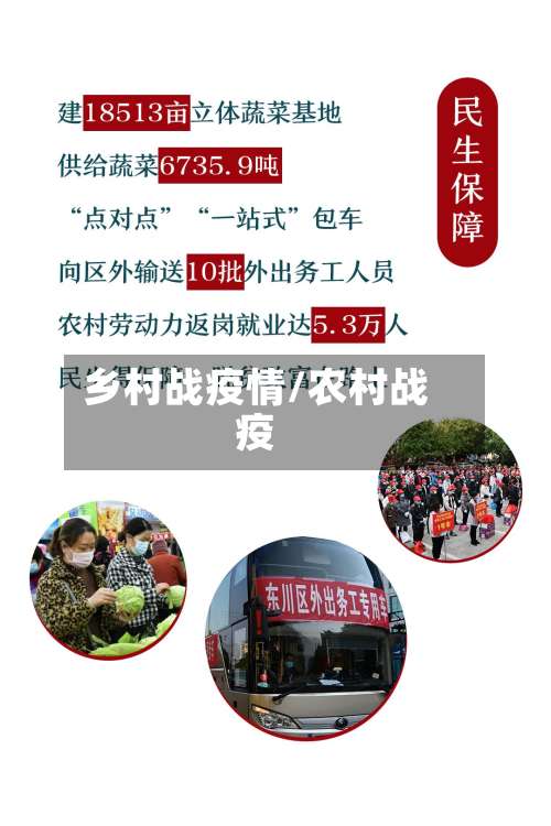 乡村战疫情/农村战疫-第3张图片