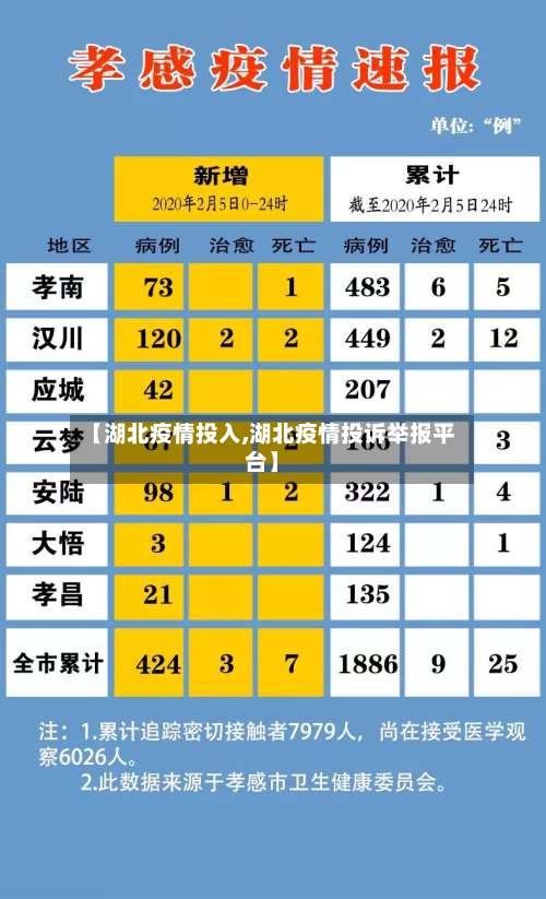 【湖北疫情投入,湖北疫情投诉举报平台】-第2张图片