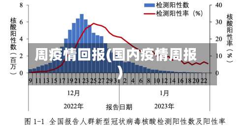 周疫情回报(国内疫情周报)-第2张图片