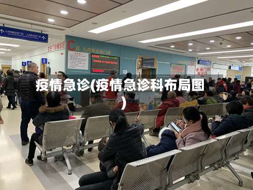 疫情急诊(疫情急诊科布局图)-第2张图片