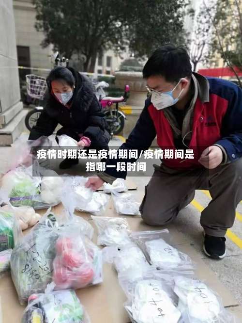 疫情时期还是疫情期间/疫情期间是指哪一段时间