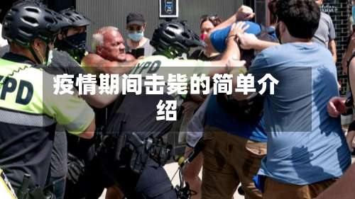 疫情期间击毙的简单介绍-第2张图片