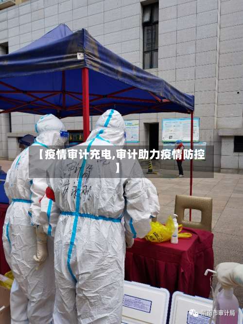 【疫情审计充电,审计助力疫情防控】