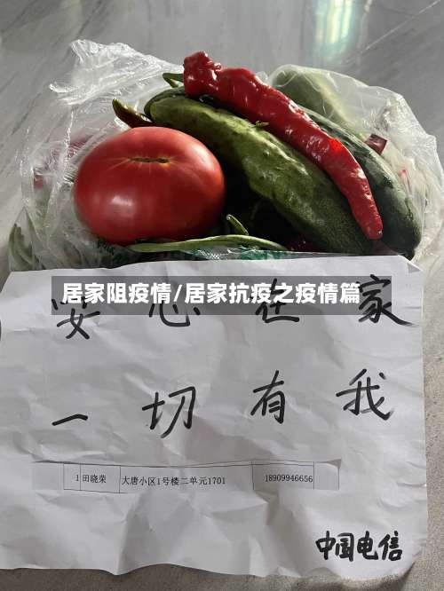 居家阻疫情/居家抗疫之疫情篇
