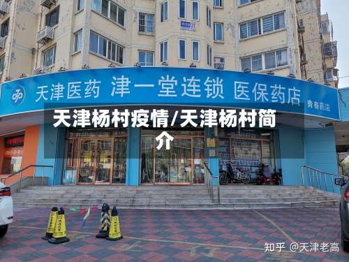 天津杨村疫情/天津杨村简介