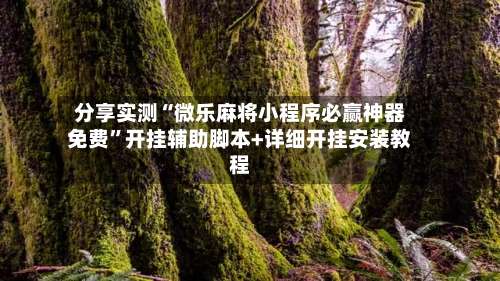 分享实测“微乐麻将小程序必赢神器免费”开挂辅助脚本+详细开挂安装教程-第2张图片