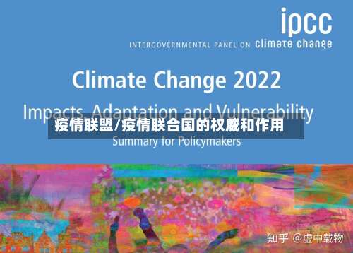 疫情联盟/疫情联合国的权威和作用-第2张图片