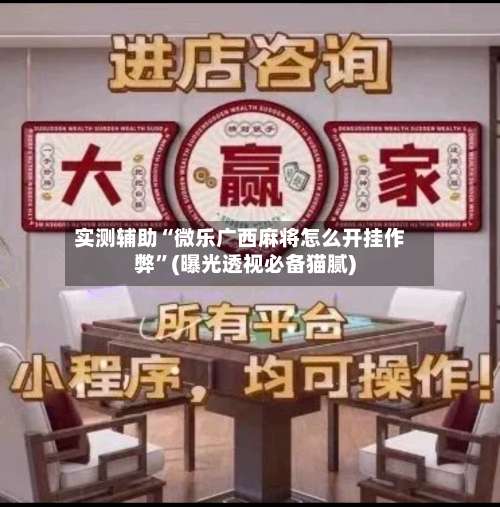 实测辅助“微乐广西麻将怎么开挂作弊”(曝光透视必备猫腻)-第2张图片
