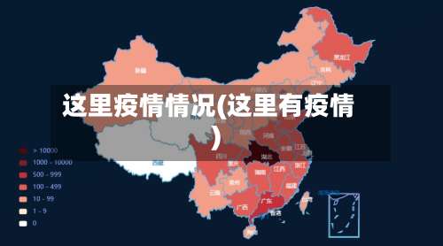 这里疫情情况(这里有疫情)