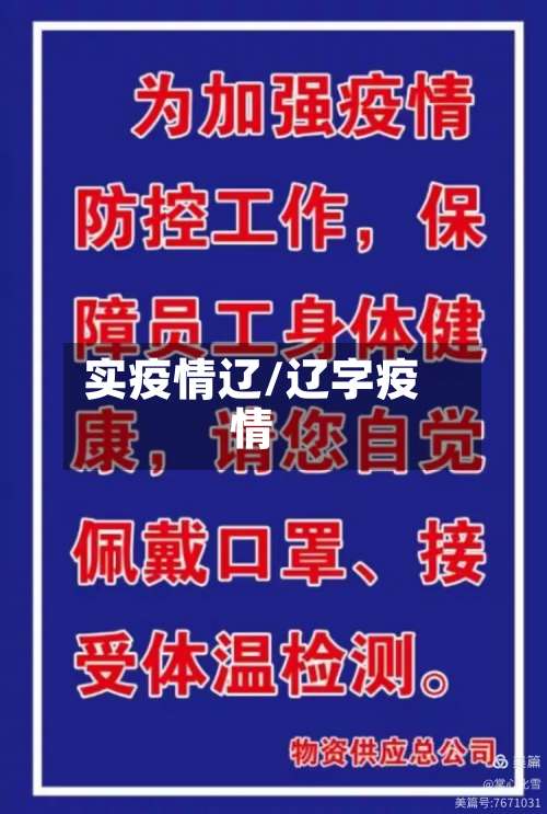 实疫情辽/辽字疫情