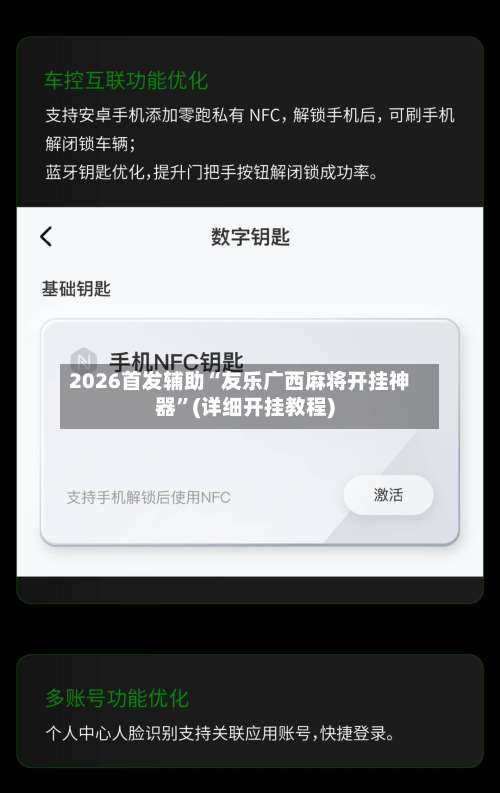 2026首发辅助“友乐广西麻将开挂神器”(详细开挂教程)-第2张图片