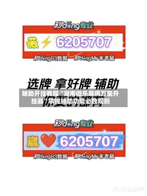 辅助开挂教程“湖南微乐麻将万能开挂器”掌握辅助功能必胜规则