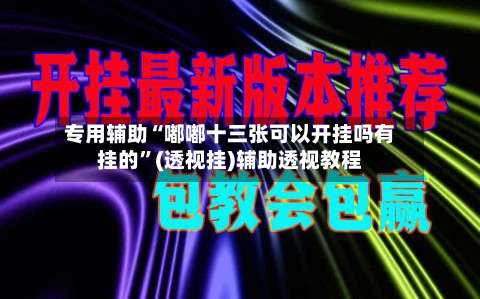 专用辅助“嘟嘟十三张可以开挂吗有挂的”(透视挂)辅助透视教程-第2张图片
