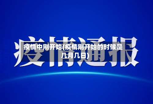 疫情中刚开始(疫情刚开始的时候是几月几日)-第2张图片