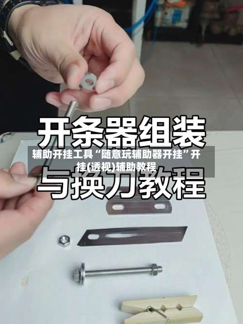 辅助开挂工具“随意玩辅助器开挂”开挂(透视)辅助教程-第2张图片