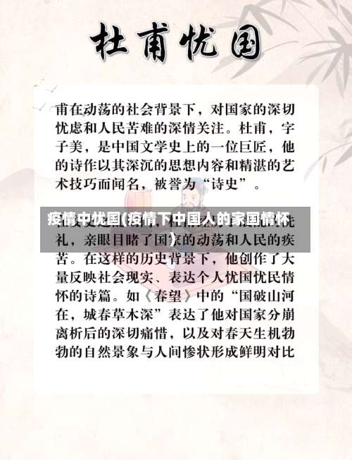 疫情中忧国(疫情下中国人的家国情怀)