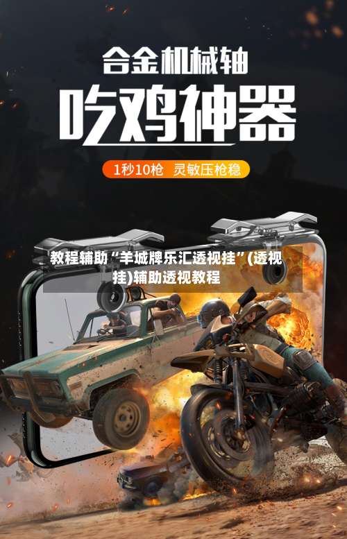 教程辅助“羊城牌乐汇透视挂	”(透视挂)辅助透视教程-第3张图片