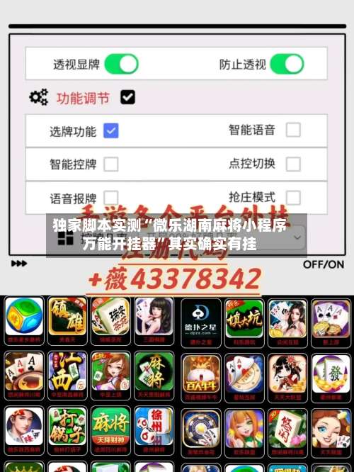 独家脚本实测“微乐湖南麻将小程序万能开挂器”其实确实有挂-第2张图片