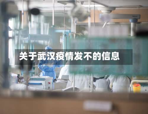 关于武汉疫情发不的信息-第2张图片