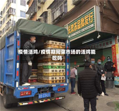 疫情活鸡/疫情期间菜市场的活鸡能吃吗-第2张图片