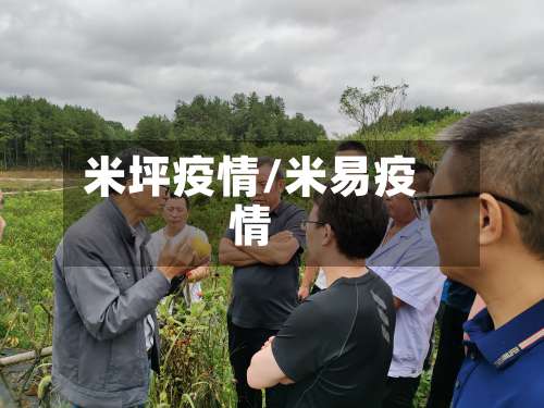 米坪疫情/米易疫情-第3张图片