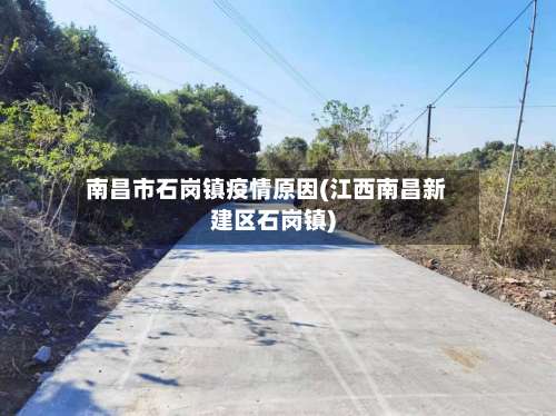 南昌市石岗镇疫情原因(江西南昌新建区石岗镇)