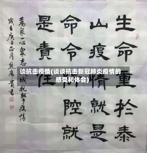 谈抗击疫情(谈谈抗击新冠肺炎疫情的感受和体会)-第2张图片