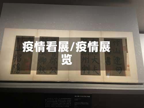 疫情看展/疫情展览-第3张图片
