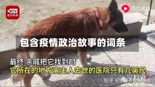 包含疫情政治故事的词条-第2张图片