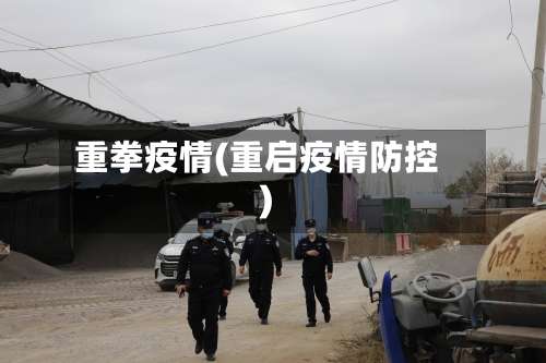 重拳疫情(重启疫情防控)