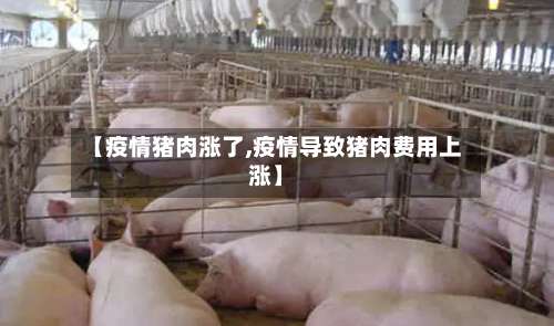 【疫情猪肉涨了,疫情导致猪肉费用上涨】-第2张图片