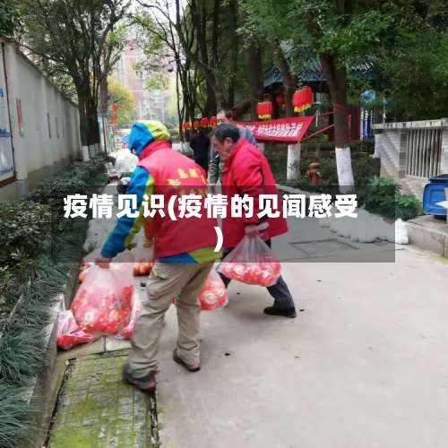 疫情见识(疫情的见闻感受)-第2张图片