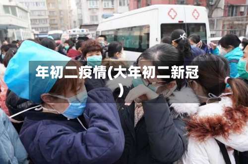 年初二疫情(大年初二新冠)-第2张图片