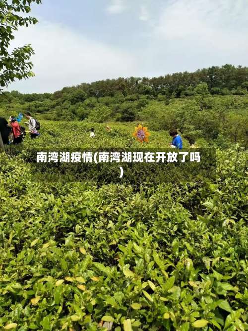 南湾湖疫情(南湾湖现在开放了吗)-第2张图片