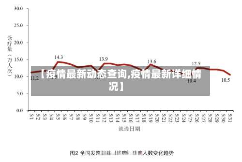 【疫情最新动态查询,疫情最新详细情况】-第2张图片