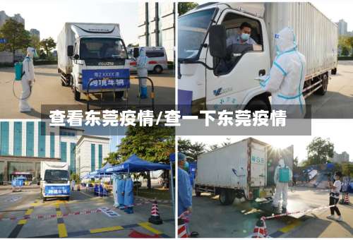 查看东莞疫情/查一下东莞疫情