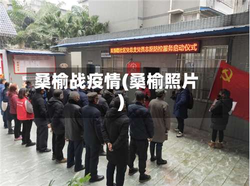 桑榆战疫情(桑榆照片)-第2张图片