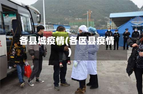 各县城疫情(各区县疫情)-第2张图片