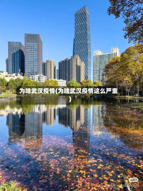 为啥武汉疫情(为啥武汉疫情这么严重)-第2张图片