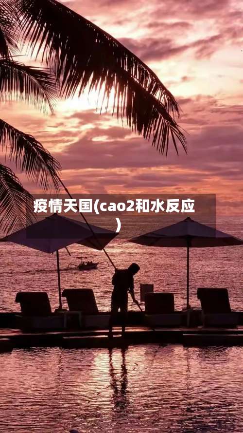 疫情天国(cao2和水反应)-第3张图片
