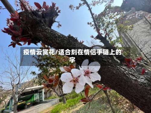 疫情云赏花/适合刻在情侣手链上的字-第2张图片